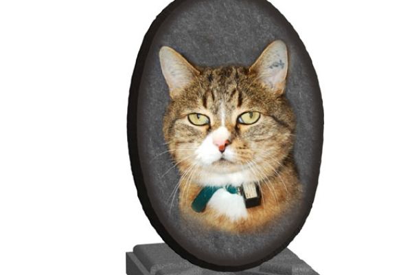 20081019-1812460846-oval-9x13-katze07117ccd-a082-17d3-2957-f87b6cfbc71aC8B03E22-80C9-7DDA-3641-277D2901502B.jpg