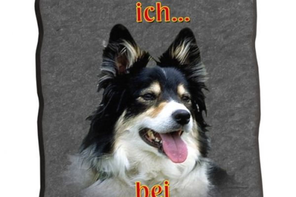 20090927-1994905126-90e2aaf28-c305-a7fd-42bb-2e7fe806f81cEE4FA546-CC12-814D-0FA8-19A279A4967A.jpg