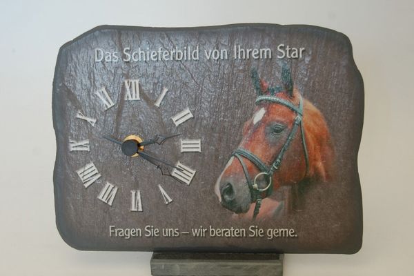 tiere-13-20070823-1965705460c4b935b9-9386-7735-3ec0-97a221723039C640F227-92EB-907E-AEC7-8E5874EBC9E0.jpg